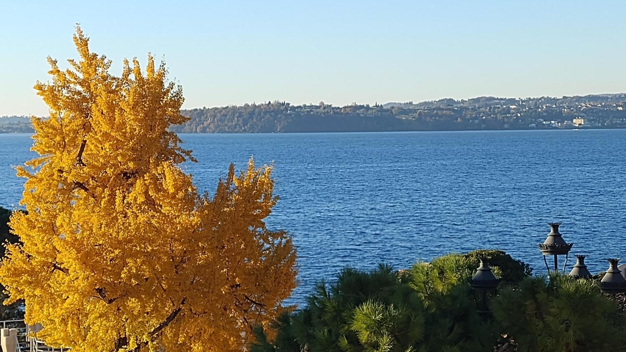 B&B Agora' Gardone Riviera Exterior foto